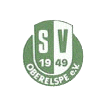 SV Oberelspe II - Fußball-Verein aus dem Sauerland
