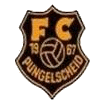 FC Pungelscheid - Fußball-Verein aus dem Sauerland