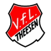 VfL Theesen - Fußball-Verein aus dem Sauerland